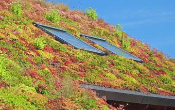 Cross Gate living roof systems